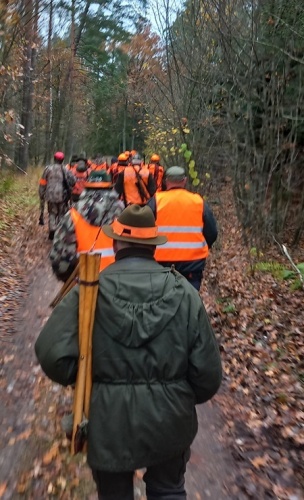 Polowania zbior. 2025-26.jpg